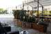Taverna di purett