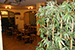 Taverna di purett