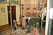 Taverna di purett