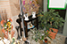 Taverna di purett